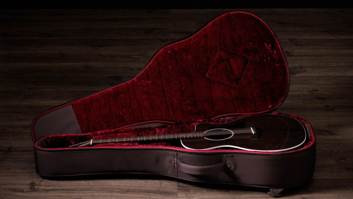 Taylor 214ce Plus Special Edition translucent grey